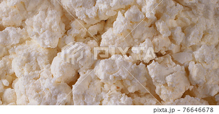 natural cottage cheese 76646678