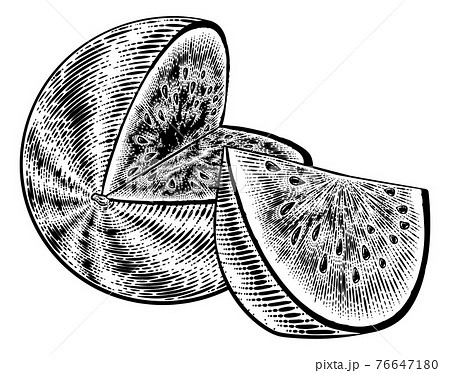 Watermelon Vintage Woodcut Engraved Style Drawing 76647180