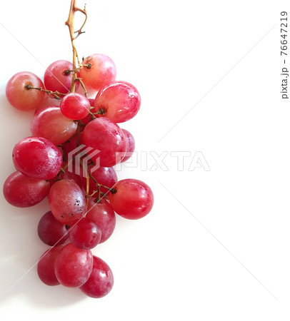Glowing ripe berries of red grapes 76647219