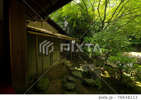 圓徳院庭園 圓徳院庭園 76648213