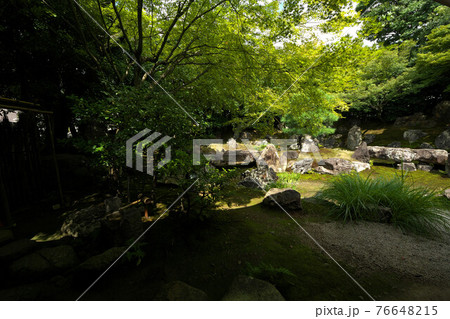 圓徳院庭園 76648215