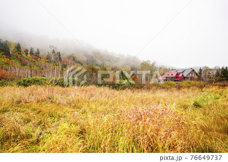 栂池自然園の紅葉 栂池自然園の紅葉 76649737