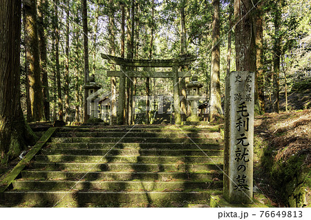 郡山城址　広島県安芸高田市 76649813