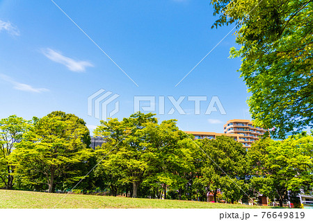 緑になった春の広い公園 緑になった春の広い公園 76649819