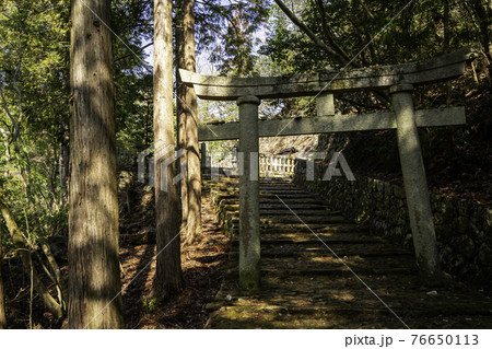 郡山城址 常栄寺跡 広島県安芸高田市 郡山城址 常栄寺跡 広島県安芸高田市 76650113