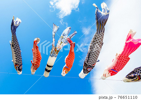 羽根谷だんだん公園、泳ぐこいのぼり〈岐阜県海津市〉 羽根谷だんだん公園、泳ぐこいのぼり〈岐阜県海津市〉 76651110