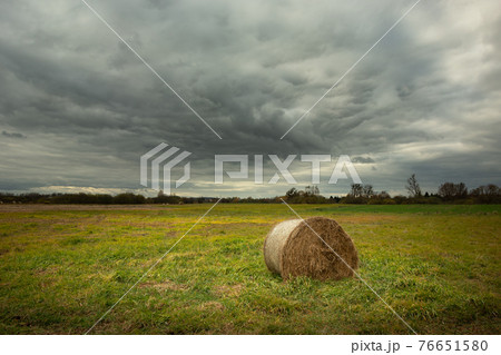 A hay bale lying in a meadow on a cloudy day A hay bale lying in a meadow on a cloudy day 76651580