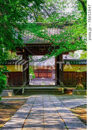 江戸氏ゆかりの慶元寺(世田谷区) 参道と山門の先に本堂 江戸氏ゆかりの慶元寺(世田谷区) 参道と山門の先に本堂 76652647