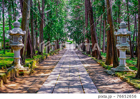 江戸氏ゆかりの慶元寺（世田谷区）　参道 76652656