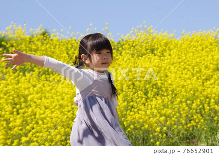 菜の花畑の女の子 76652901