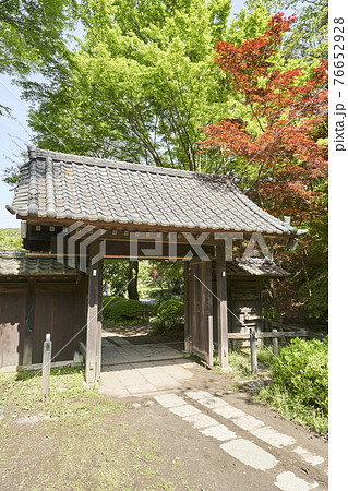 町田薬師池公園の薬医門 町田薬師池公園の薬医門 76652928