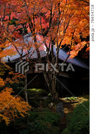 紅葉 76654718