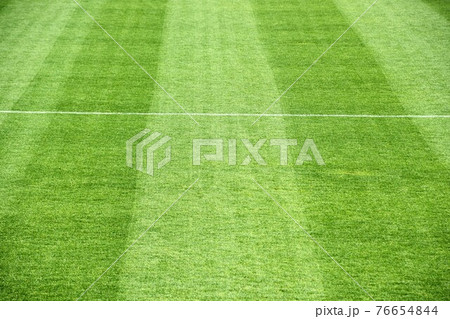 天然芝サッカー場　馬入ふれあい公園　平塚市 76654844