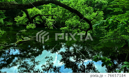[福島県] 五色沼 76657184