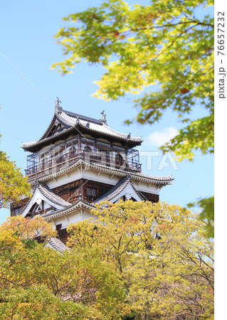 広島県の城、春の広島城 76657232
