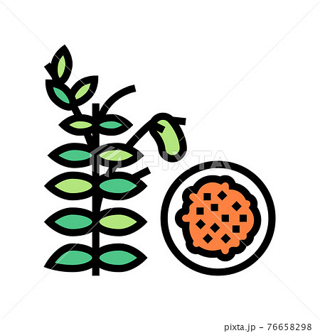 lentils groat color icon vector illustration 76658298