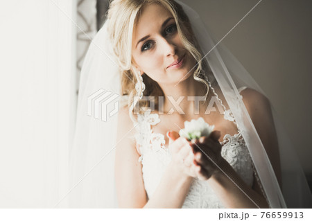 Portrait of beautiful bride with fashion veil at wedding morning 76659913