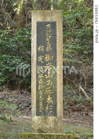 日本屈指のパワースポット御岩神社の三本杉の石柱 日本屈指のパワースポット御岩神社の三本杉の石柱 76659961
