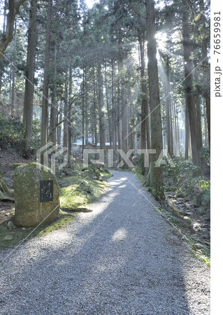 日本屈指のパワースポット御岩神社の参道 76659981