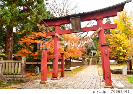 紅葉の青海神社（新潟県） 76662441