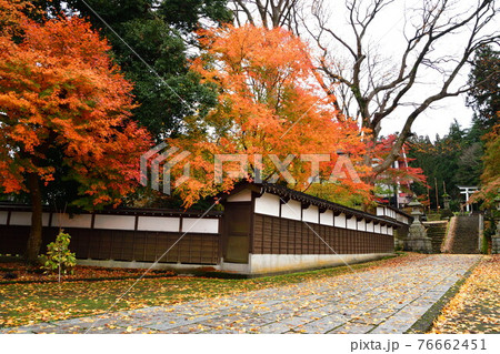 紅葉の青海神社（新潟県） 76662451