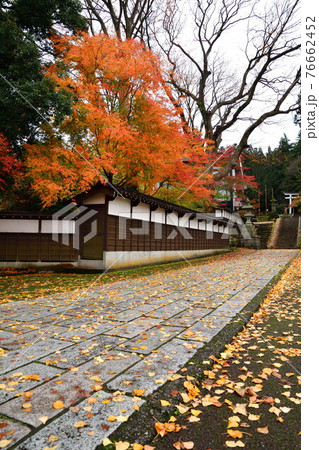 紅葉の青海神社（新潟県） 76662452