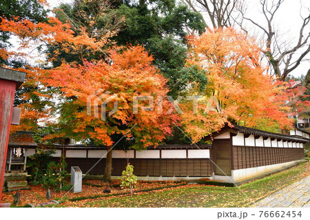 紅葉の青海神社（新潟県） 76662454