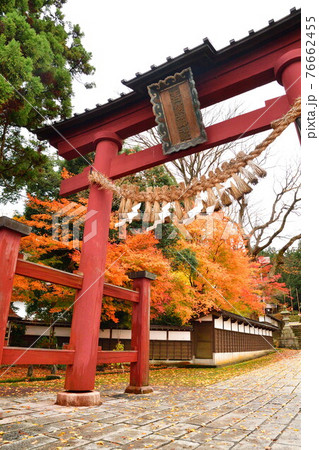 紅葉の青海神社（新潟県） 76662455