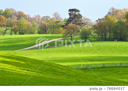 A rural landscape of green fields 76664037