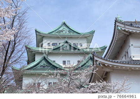 本丸御殿から見る金鯱のない名古屋城(愛知県 名古屋市 2021年) 本丸御殿から見る金鯱のない名古屋城(愛知県 名古屋市 2021年) 76664961