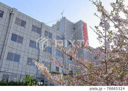 福友病院とサクラ(愛知県 日進市) 福友病院とサクラ(愛知県 日進市) 76665324