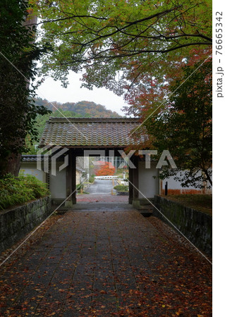 紅葉の時期の山門(雲興寺 愛知県 瀬戸市) 紅葉の時期の山門(雲興寺 愛知県 瀬戸市) 76665342