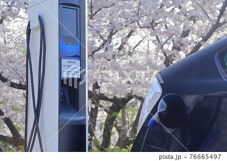 充電中のプラグインハイブリッド車とサクラ 76665497
