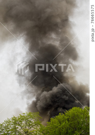 black smoke trail of forest fire black smoke trail of forest fire 76665575
