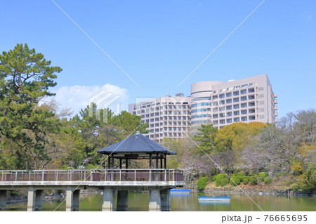 竜ヶ池から望む大学病院（名古屋大学医学部附属病院、鶴舞公園　愛知県 名古屋市） 76665695