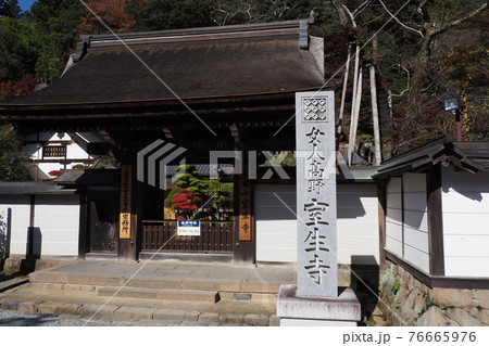 室生寺の風景 76665976