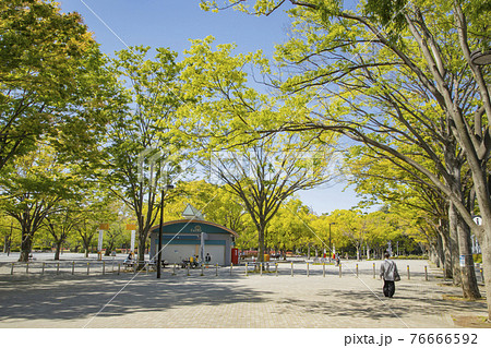 代々木公園 イベント広場の写真素材