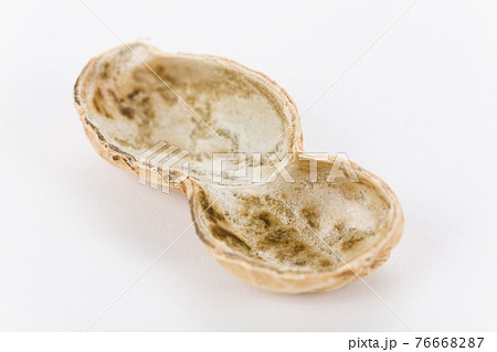 Peanut 76668287
