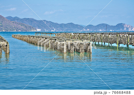 【牡蠣の養殖】 広島県呉市下蒲刈町下島 76668488