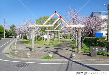 福岡県行橋市の桜咲く春の大橋公園の写真素材