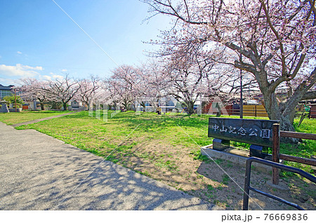 福岡県行橋市の花見スポット中山記念公園の写真素材