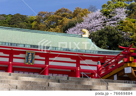 赤間神宮と桜 赤間神宮と桜 76669884