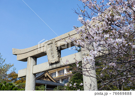 赤間神宮と桜 赤間神宮と桜 76669888