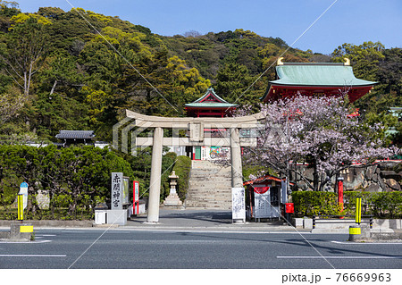 赤間神宮と桜 赤間神宮と桜 76669963