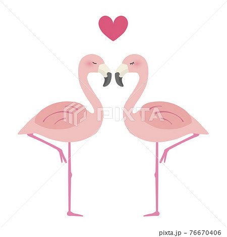 二羽のフラミンゴが寄り添い ハートマークが浮かぶ 恋愛イメージのイラストのイラスト素材