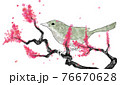 梅の木にとまるウグイス　水墨画風 76670628