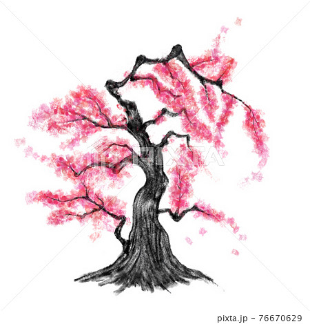 桃の花が咲いた大木 水墨画風のイラスト素材