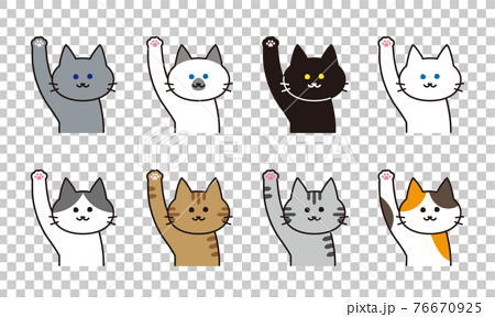手を挙げる様々な猫種の猫イラストセット 76670925