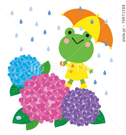 傘を差したカエルと紫陽花 梅雨の季節のイラストのイラスト素材