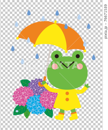 雨季的插圖，青蛙拿著雨傘和繡球花 76671589